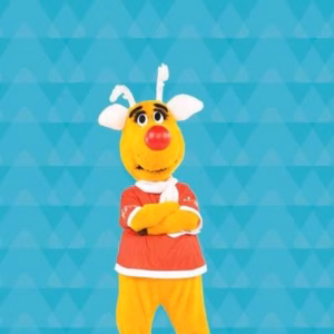 Opération Nez Rouge